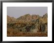 Rock Formation, Madagascar by Patricio Robles Gil Limited Edition Print