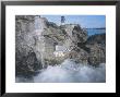 Swallow Tailed Gull, Incubating Single Egg In Coral Lined Nest, Galapagos by Mark Jones Limited Edition Pricing Art Print