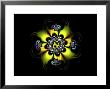 Abstract Yellow Flower-Like Fractal Design On Dark Background by Albert Klein Limited Edition Print