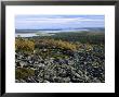 View From The Fell In Autumn, North Finland by Heikki Nikki Limited Edition Print