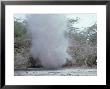 Dust Devil, Kenya by Oxford Scientific Limited Edition Pricing Art Print