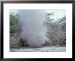 Dust Devil, Kenya by Oxford Scientific Limited Edition Print