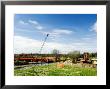 Crane Lifitng Steel Piling Beside River Avon During Construction Of The Barford Bypass, England by Martin Page Limited Edition Print