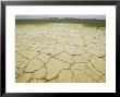 Dried And Cracked Mud Beside Skeleton Coast In West Coast Recreational Area, Namibia by Richard Packwood Limited Edition Print