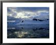 Grease Ice And Open Pack Ice, Antarctic Peninsula by Rick Price Limited Edition Print