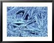 Ice Detail, Scotland by Iain Sarjeant Limited Edition Pricing Art Print