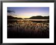 Loch Droma At Sunset, Scotland by Iain Sarjeant Limited Edition Pricing Art Print