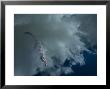 Alligator With Fish, Sky Reflection by John Glembin Limited Edition Print