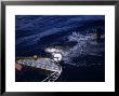 Great White Shark, Attacking Bait, S. Australia by Gerard Soury Limited Edition Print