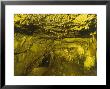 Kefalonia, Inside The Cave Of Drongariti by Ian West Limited Edition Print