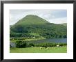 View South-West To Carling Knott And Blake Fell, The Lake District, Uk by Ian West Limited Edition Print