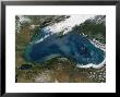 The Black Sea In Eastern Russia Is Experiencing An Ongoing Phytoplankton Bloom by Stocktrek Images Limited Edition Print