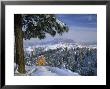Bryce Canyon In Winter, Utah, Usa by Nancy Rotenberg Limited Edition Print