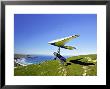 Hang Glider, Otago Peninsula, Near Dunedin, South Island, New Zealand by David Wall Limited Edition Pricing Art Print