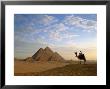 Pyramids, Giza, Egypt by Steve Vidler Limited Edition Print