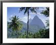 The Pitons, St. Lucia, Caribbean, West Indies by John Miller Limited Edition Pricing Art Print
