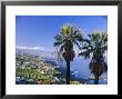 North Coast And Mount Teide, Tenerife, Canary Islands, Spain by John Miller Limited Edition Pricing Art Print