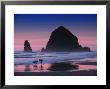 Dogs On Cannon Beach by Jody Miller Limited Edition Print
