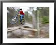 Mountain Biker Riding Stunts In Whitefish, Montana, Usa by Chuck Haney Limited Edition Print