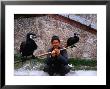 Fisherman With His Fishing Cormorants, Guangzhou, China by Chris Mellor Limited Edition Print