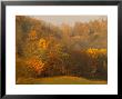 Morning View Of Autumn Colors In The Jefferson National Forest by Raymond Gehman Limited Edition Print