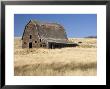 Dilapidated Barn Near Cabri, Saskatchewan, Canada by Pete Ryan Limited Edition Print