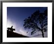 Silhouette Of Cowboy, Picabo, Idaho by Kate Thompson Limited Edition Print