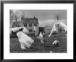 Woman Hanging Up The Laundry On The Line by Ed Clark Limited Edition Print