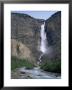 Takakkaw Falls, 254M High, Yoho National Park, British Columbia, Rockies, Canada by Geoff Renner Limited Edition Print