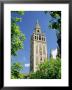 The Giralda, The Moorish Minaret And Observatory, Seville, Andalucia (Andalusia), Spain, Europe by James Emmerson Limited Edition Print