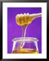 Honey Running From A Honey Dipper Into A Jar by Marc O. Finley Limited Edition Print