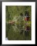 Sauna And Lake Reflections, Lapland, Finland by Doug Pearson Limited Edition Print