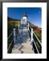 Owls Head Lighthouse, Maine, Usa by Alan Copson Limited Edition Print