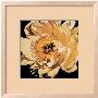 Yellow Peony by Jennifer Harmes Limited Edition Pricing Art Print