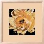 Yellow Peony by Jennifer Harmes Limited Edition Print