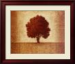 Embossed Oak by Xavier Limited Edition Pricing Art Print