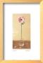 Pink Gerbera by Judy Mandolf Limited Edition Pricing Art Print
