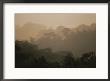 Layers Of Rain Forest Foliage Emerge From Mist, Costa Rica by Michael Melford Limited Edition Print