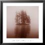 Pine Tree Island by Michael Kahn Limited Edition Pricing Art Print
