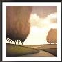 Forest Road Ii by Taman Van Scoy Limited Edition Print