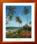 Maui Morning by Scott Westmoreland Limited Edition Print