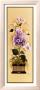 Orchid I by Constance Lael Limited Edition Pricing Art Print