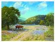 Lazy Blue Bonnet Days by Bill Curry Limited Edition Pricing Art Print