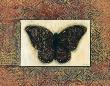 Butterfly Ii by Norman Wyatt Jr. Limited Edition Print