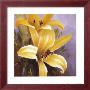 Yellow Perennial I by Lanie Loreth Limited Edition Pricing Art Print