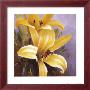 Yellow Perennial I by Lanie Loreth Limited Edition Print