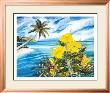 Yellow Hibiscus by Sherry Lynn Lee Limited Edition Pricing Art Print