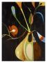Flora Exotica by Mary Calkins Limited Edition Print