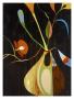 Flora Exotica by Mary Calkins Limited Edition Pricing Art Print