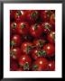 Cherry Tomatoes by Mark Gibson Limited Edition Print